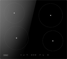 Induktionsfeld Reparatur Lehrte